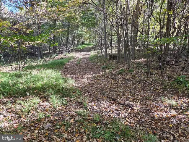 00 Black Walnut Rd, Commodore