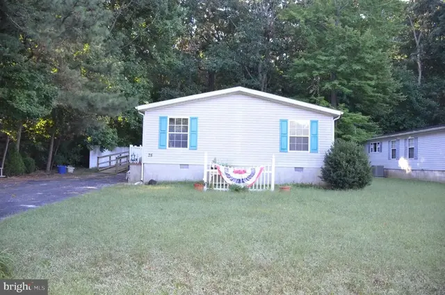 75 White Pine Dr, Millsboro