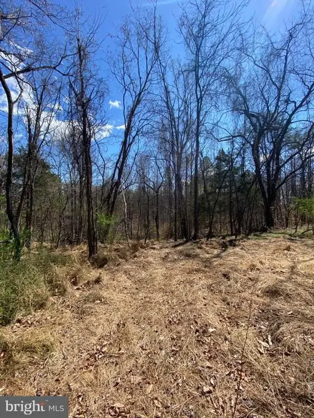 8424 Kilby Rd, Culpeper