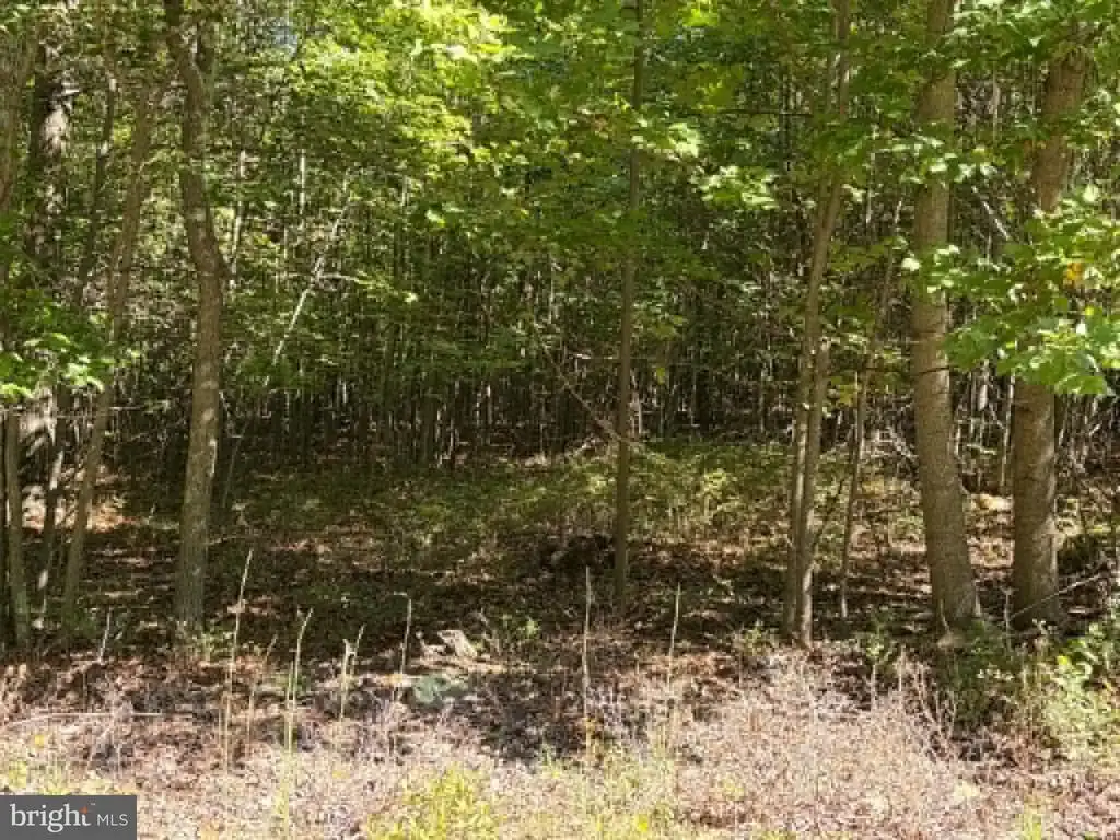 669 Capon Woods Resort Rd #lot 19, HIGH VIEW