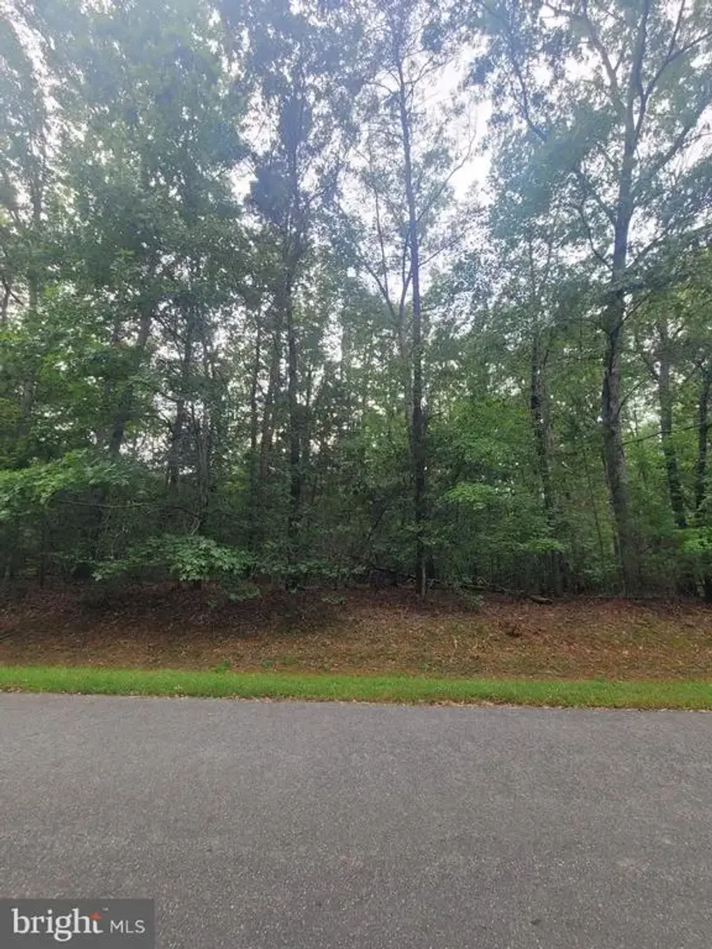 Lot 15 Shorewood Dr, MINERAL