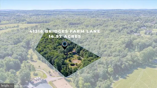 41216 Bridges Farm Ln, Leesburg