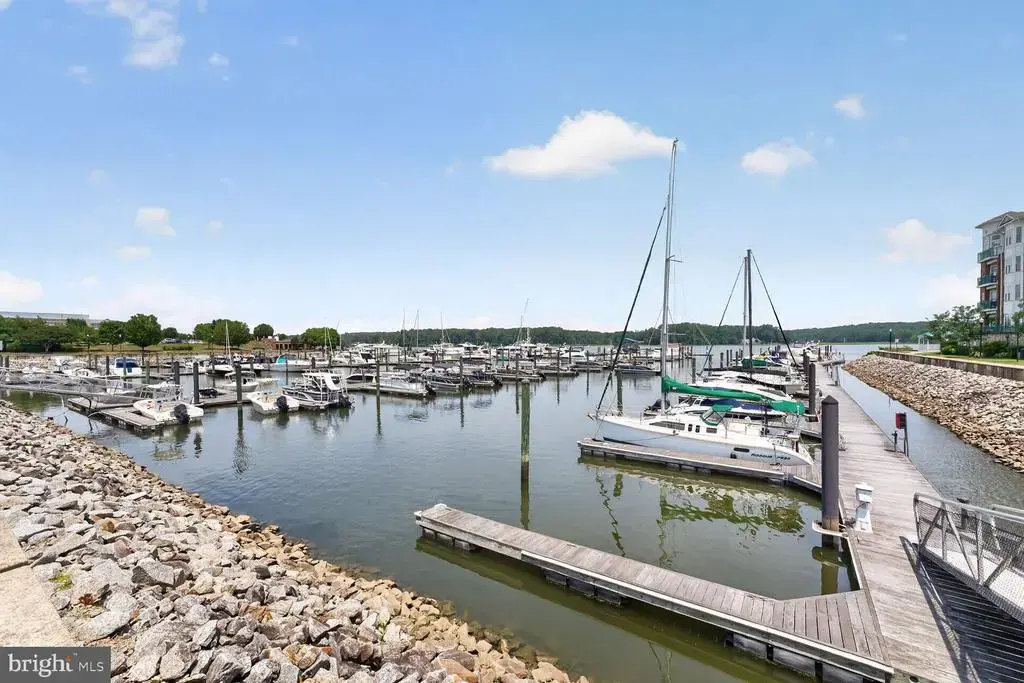 810 Belmont Bay Dr #204, WOODBRIDGE