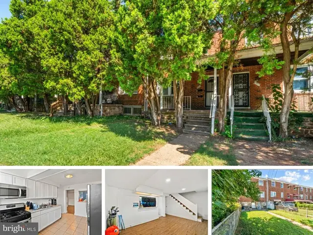 1305 N Linwood Ave, Baltimore