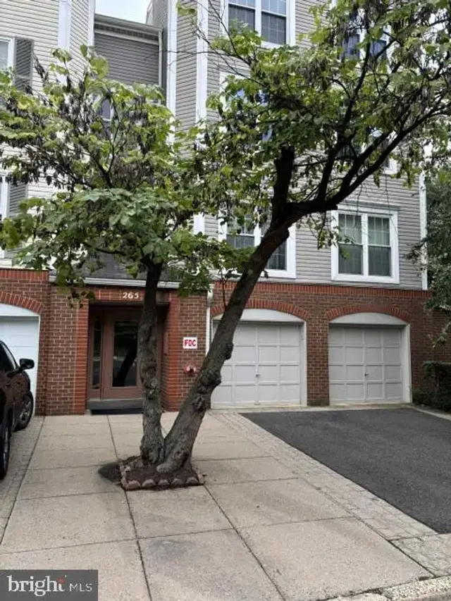 265 S Pickett St #402, Alexandria