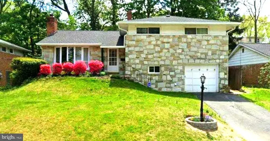 7909 Rodgers Rd #, ELKINS PARK