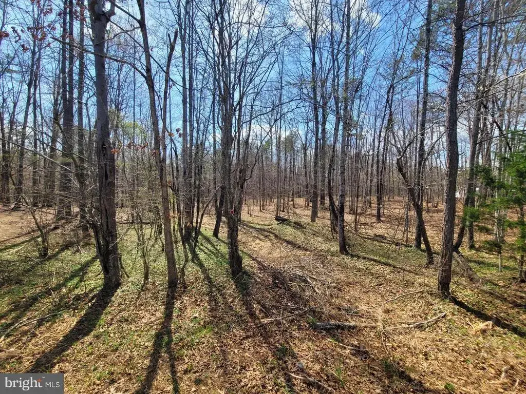 Texas School Rd, BUCKINGHAM