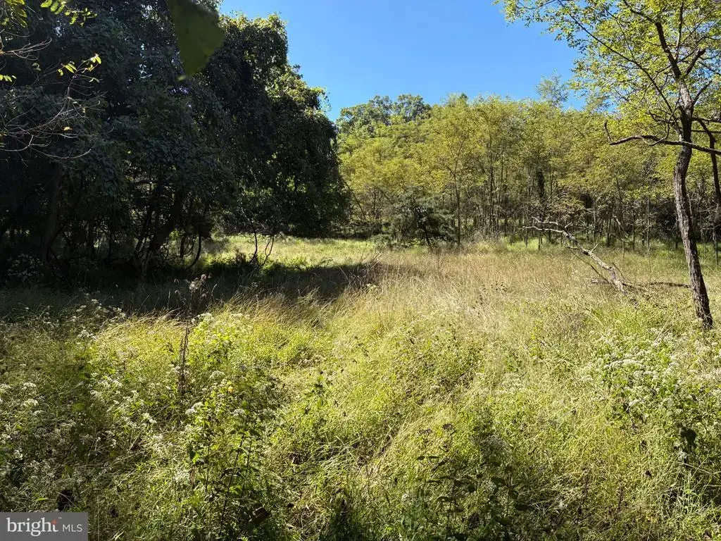Lot 205 Graces Cabin Rd, SPRINGFIELD
