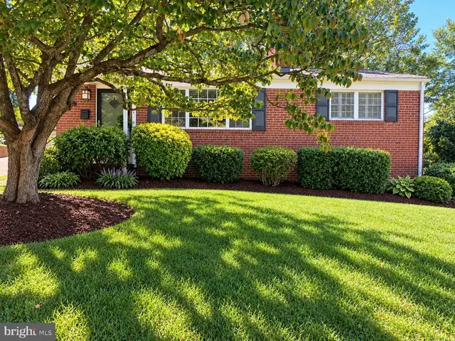 10005 Peterson St, Fairfax