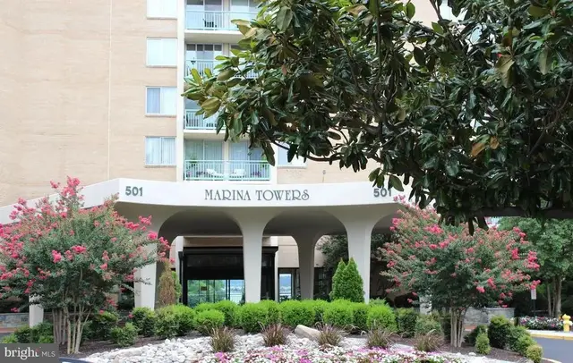 501 Slaters Ln #713, Alexandria