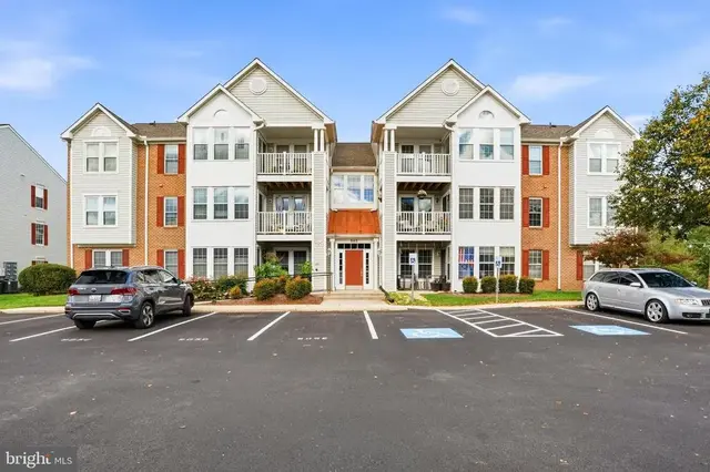905 Blue Leaf #7 3c Ct #7  3c, Frederick