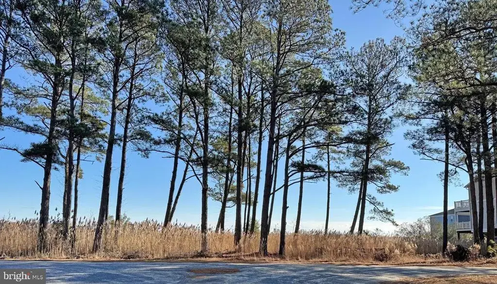 Lot 718 Castaway Dr, GREENBACKVILLE