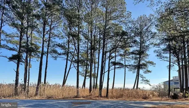 Lot 718 Castaway Dr, Greenbackville