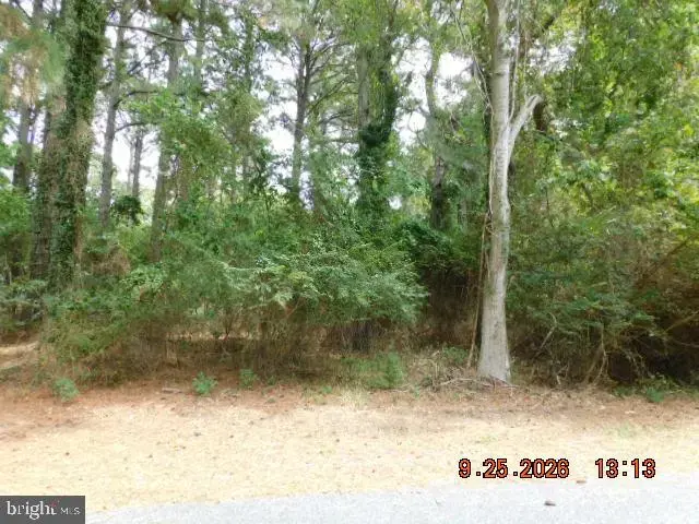 100 Roland Parks Rd, Chance