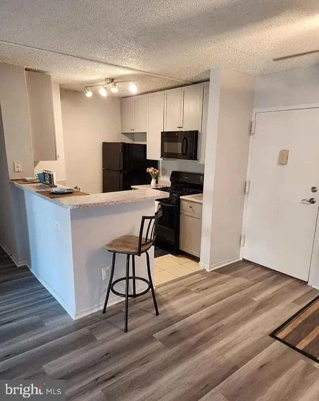 60 S Van Dorn St #310, ALEXANDRIA