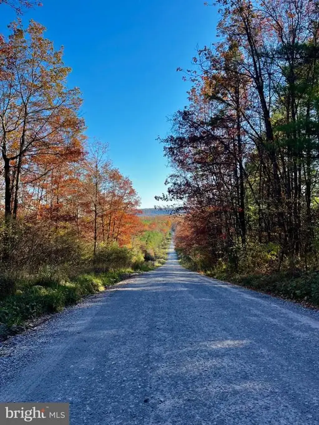 11 Beech Creek Mountain Rd, BEECH CREEK