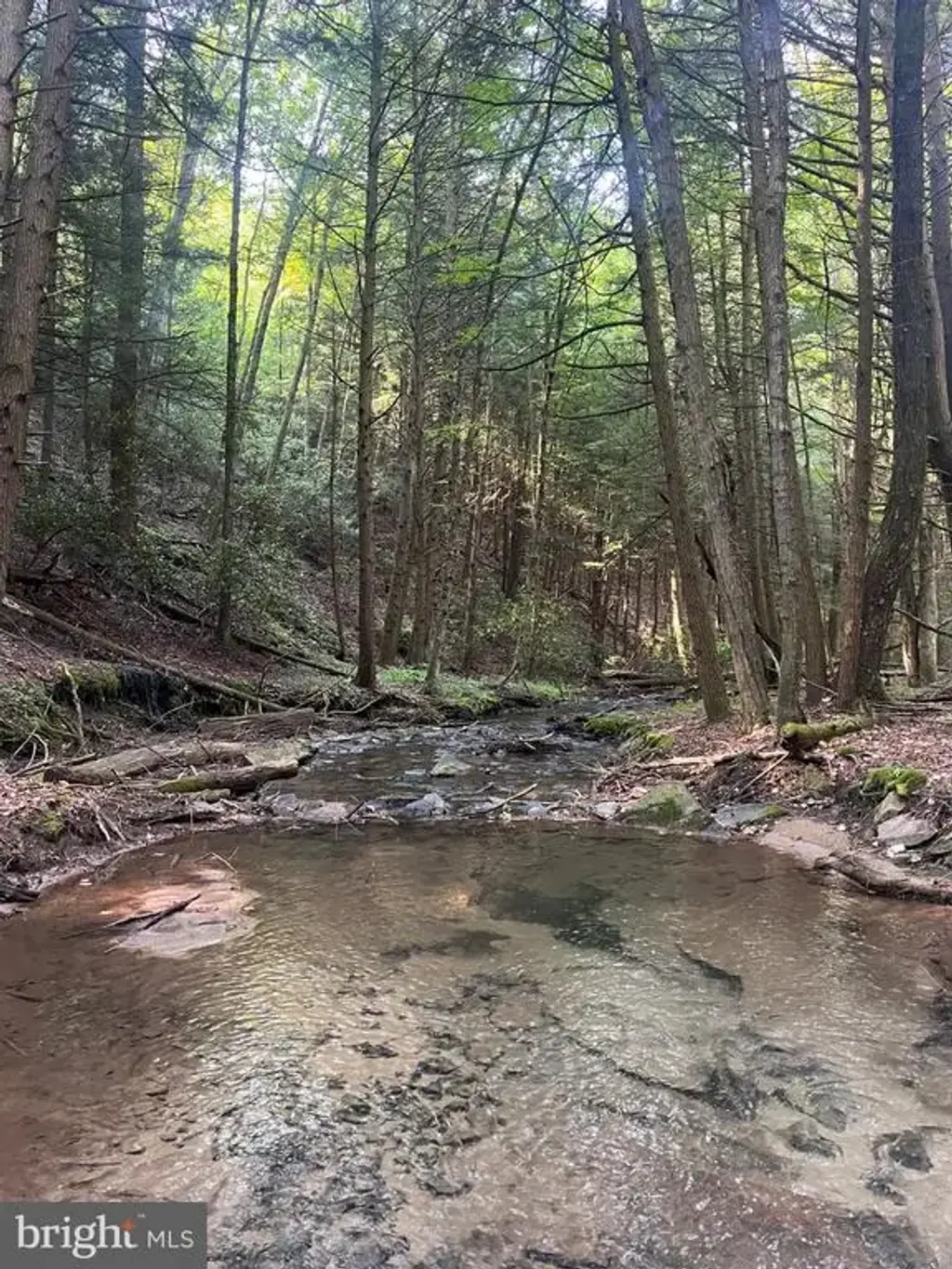 15 Beech Creek Mountain Rd, BEECH CREEK