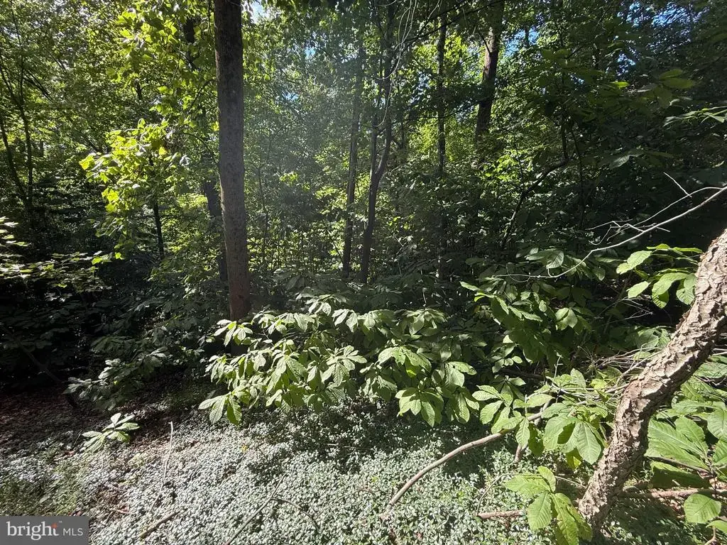 Lot 98 Great Oak Ln, HARRISBURG