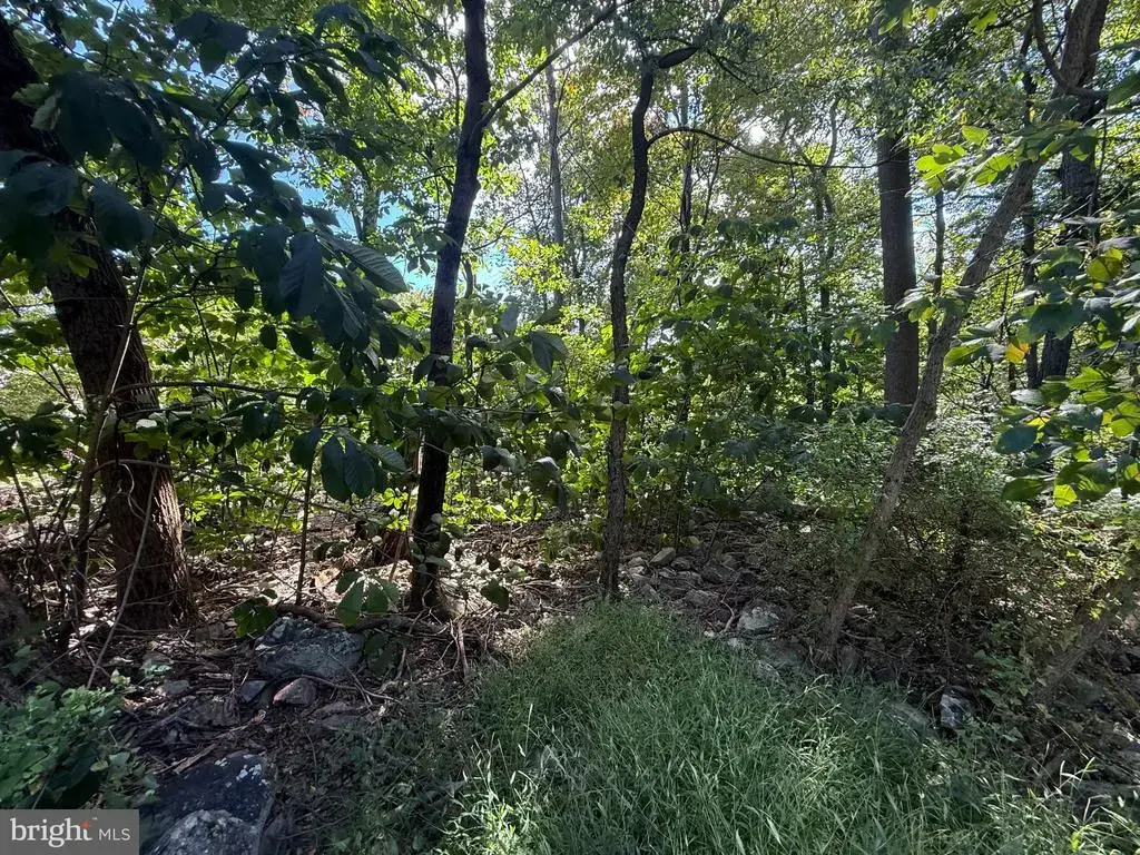 Lot 63 Dogwood Rd, HARRISBURG