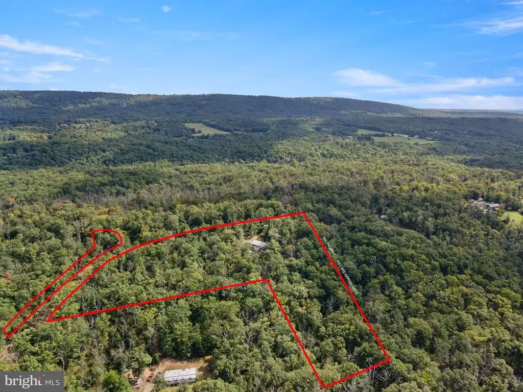 132 White Pine Ln, WINCHESTER