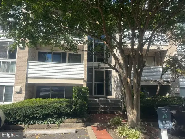 5600 Bloomfield Dr #203, Alexandria