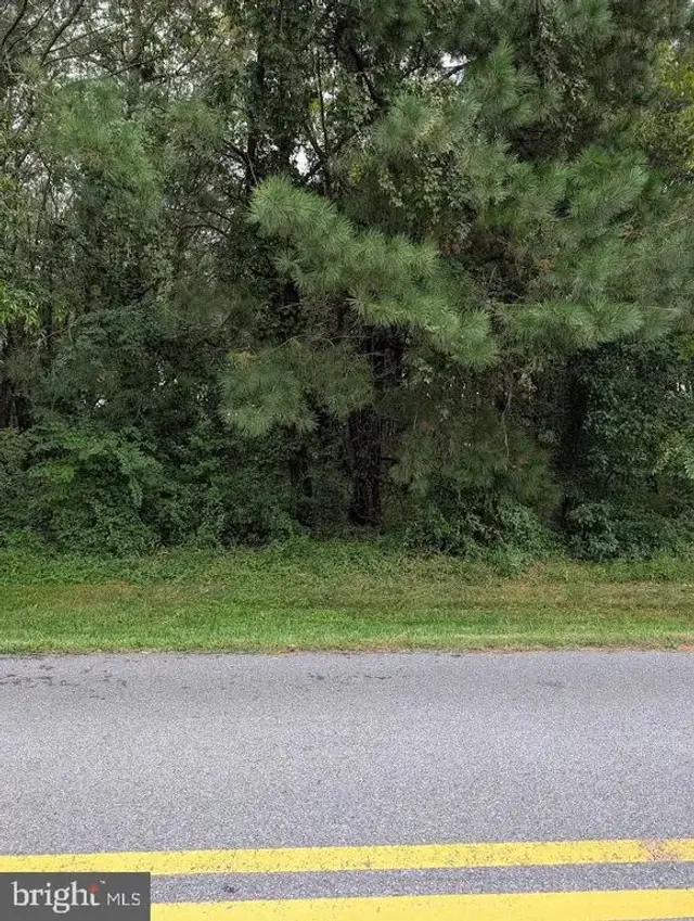 Lot 5 Falling Pt Rd, Dagsboro