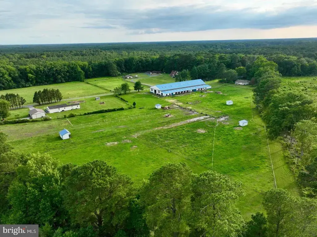 31244 Dog House Dr, SALISBURY