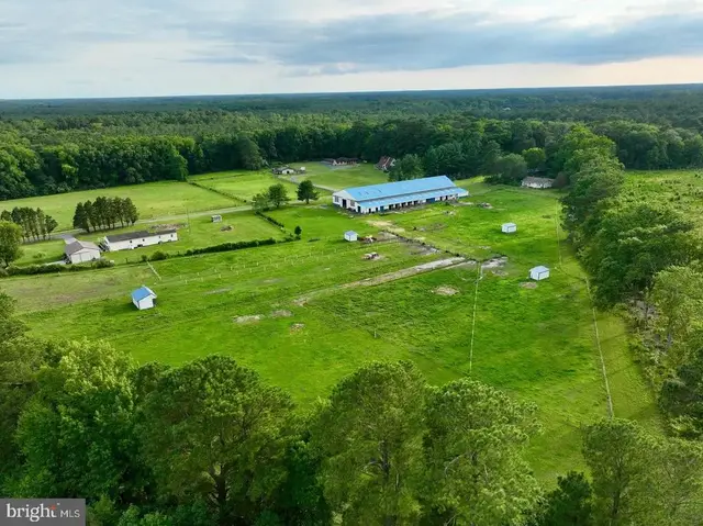 31244 Dog House Dr, Salisbury