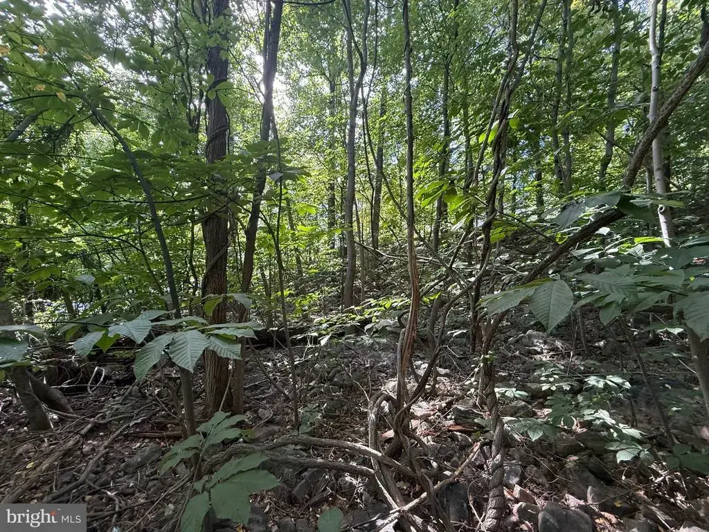 Lot 60 Dogwood Rd, HARRISBURG