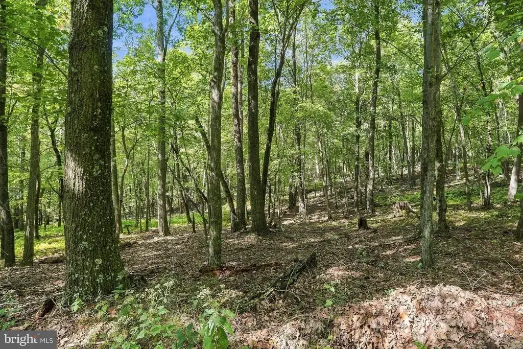 Lot 69 Red Maple Dr, BAKER