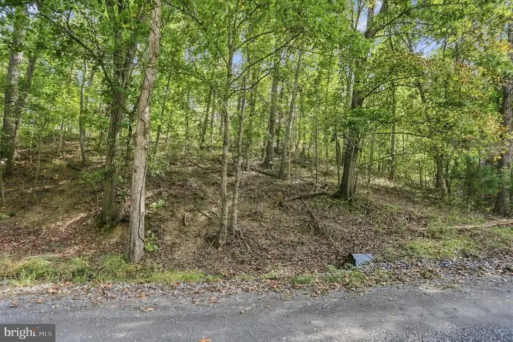 Lot 147c Tea Berry Rd, MAURERTOWN