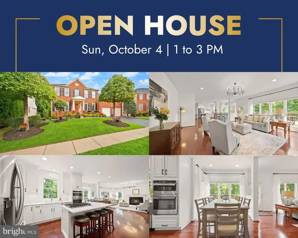 42080 Porch Light Dr, ALDIE