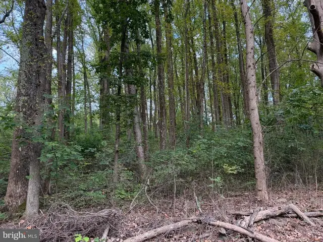 Smith Run, Bentonville