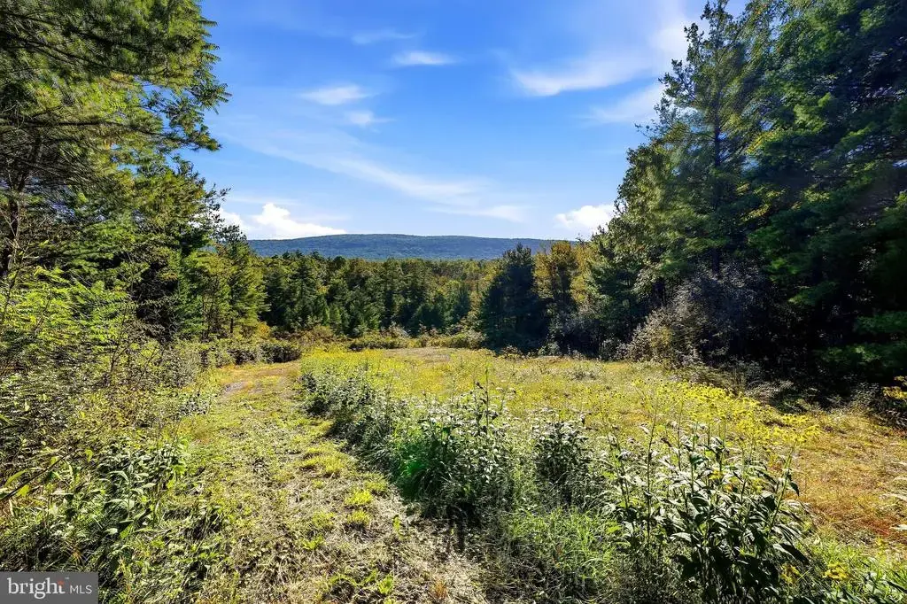 Lot 4 Brooke Trout Dr, WARDENSVILLE