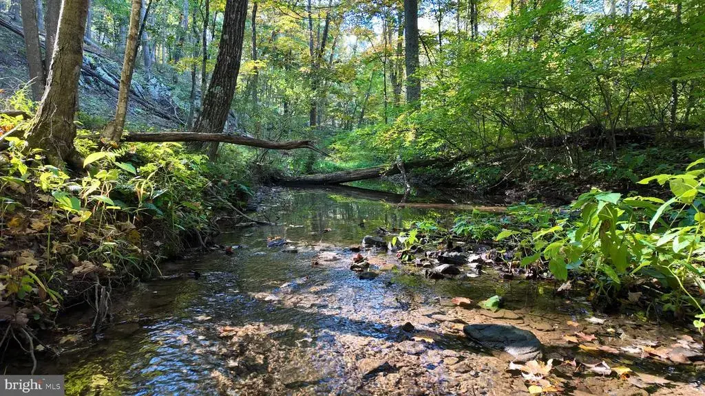Cold Run Valley Rd, BERKELEY SPRINGS
