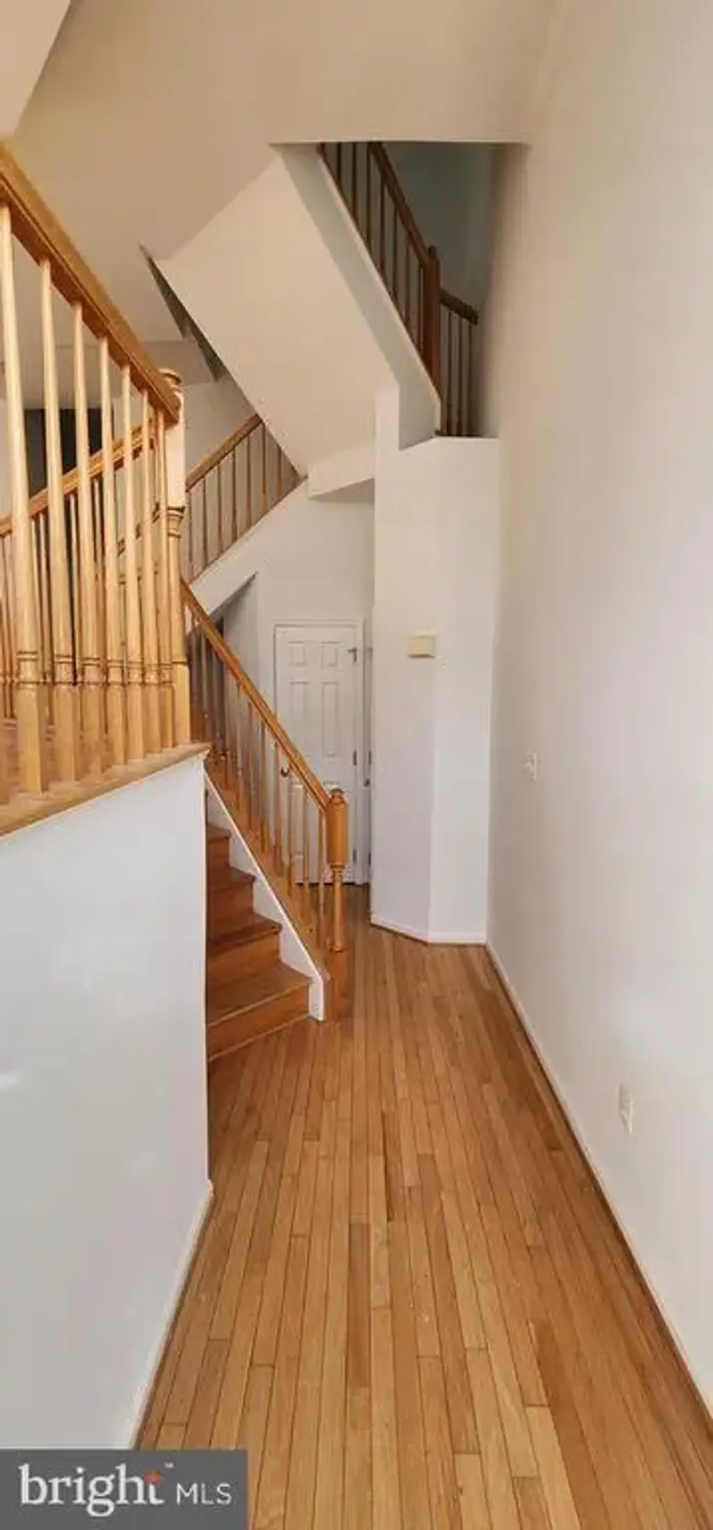 7707 Martin Allen Ct, ALEXANDRIA