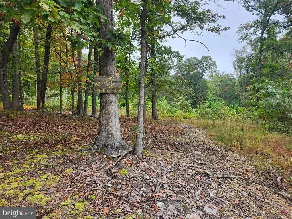 Lot 17 Quaker Lake Trl, CAPON BRIDGE
