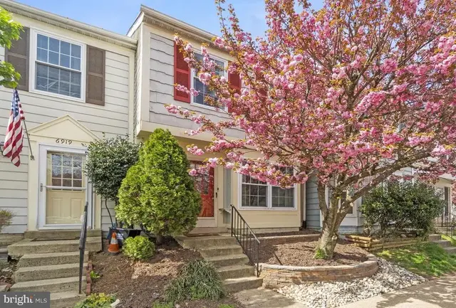 6917 Chiswick Ln, Alexandria