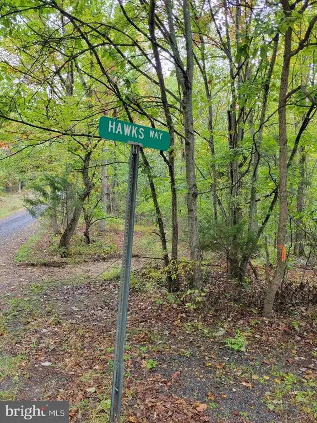 Hawks Way, DELRAY