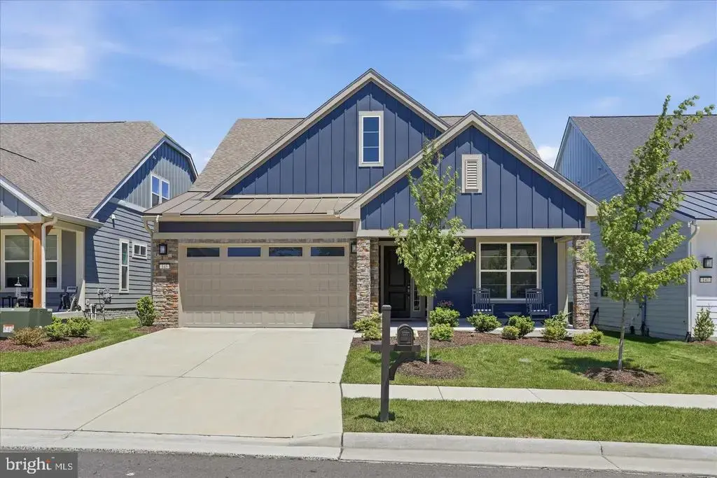 145 Cowbird, LAKE FREDERICK