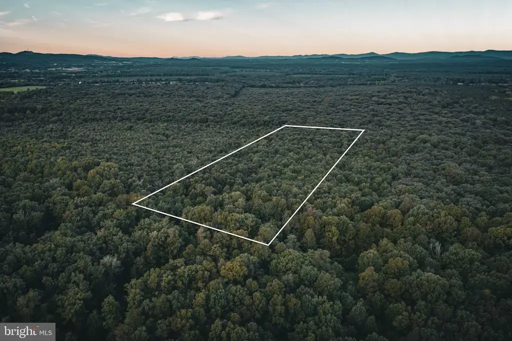 Tbd Stringfellow Rd, CULPEPER
