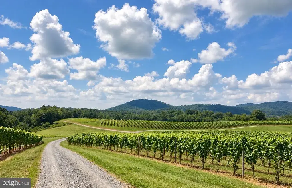 51 Vineyard Ln, WOODVILLE