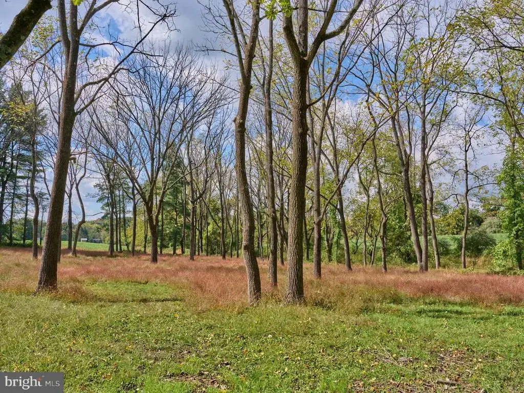 6321 Saw Mill Rd, DOYLESTOWN