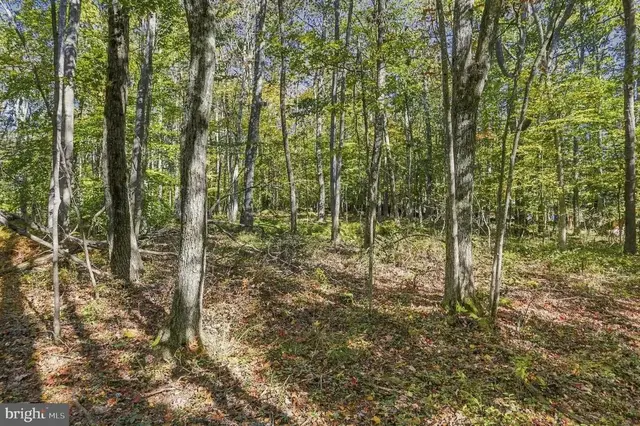 .94 Acres Mosser, Mchenry