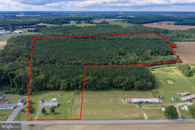 12201 Blueberry Rd, Whaleyville
