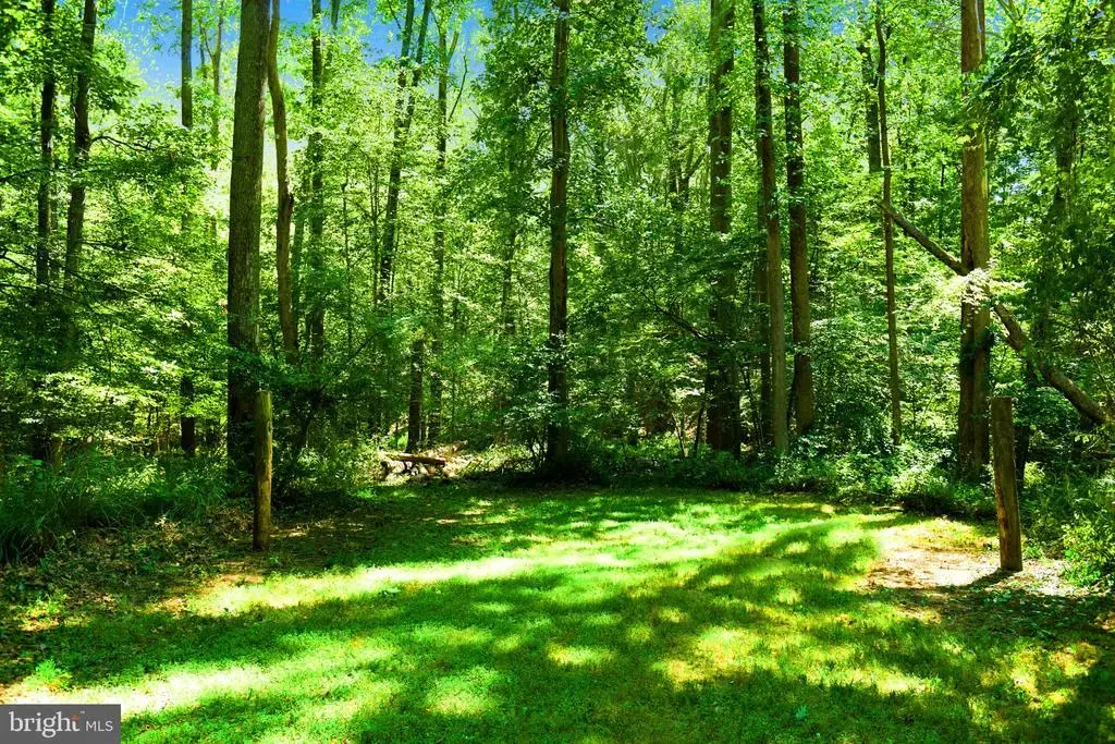 509 Prospect Mill Rd, BEL AIR