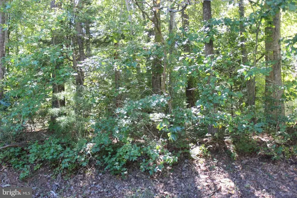 2041 Neptune Ct, GREENBACKVILLE