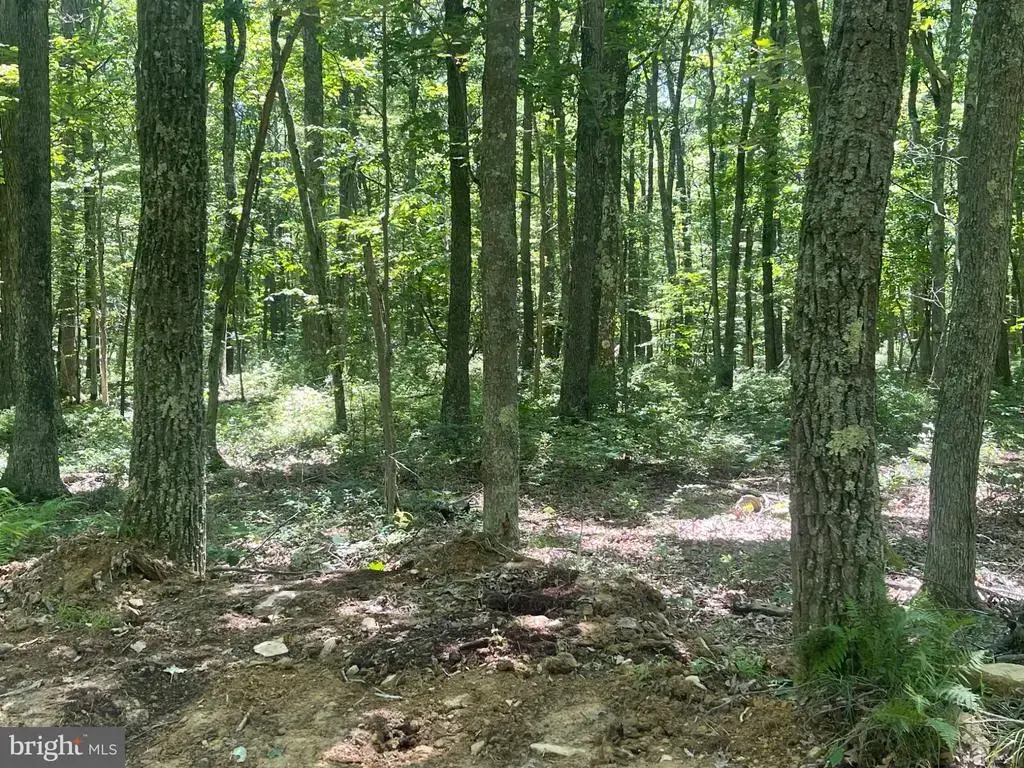 0 Schell Rd, ELK GARDEN