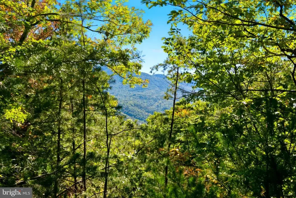 195 Hinkle Mt Rd, MOOREFIELD