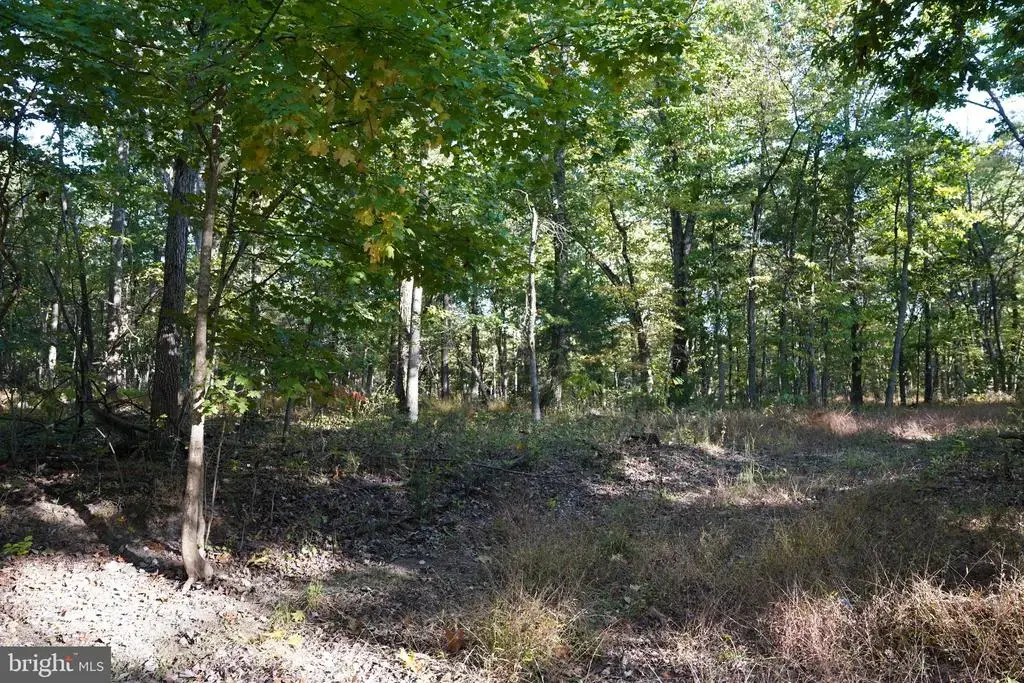 Cedar Ln, MARTINSBURG